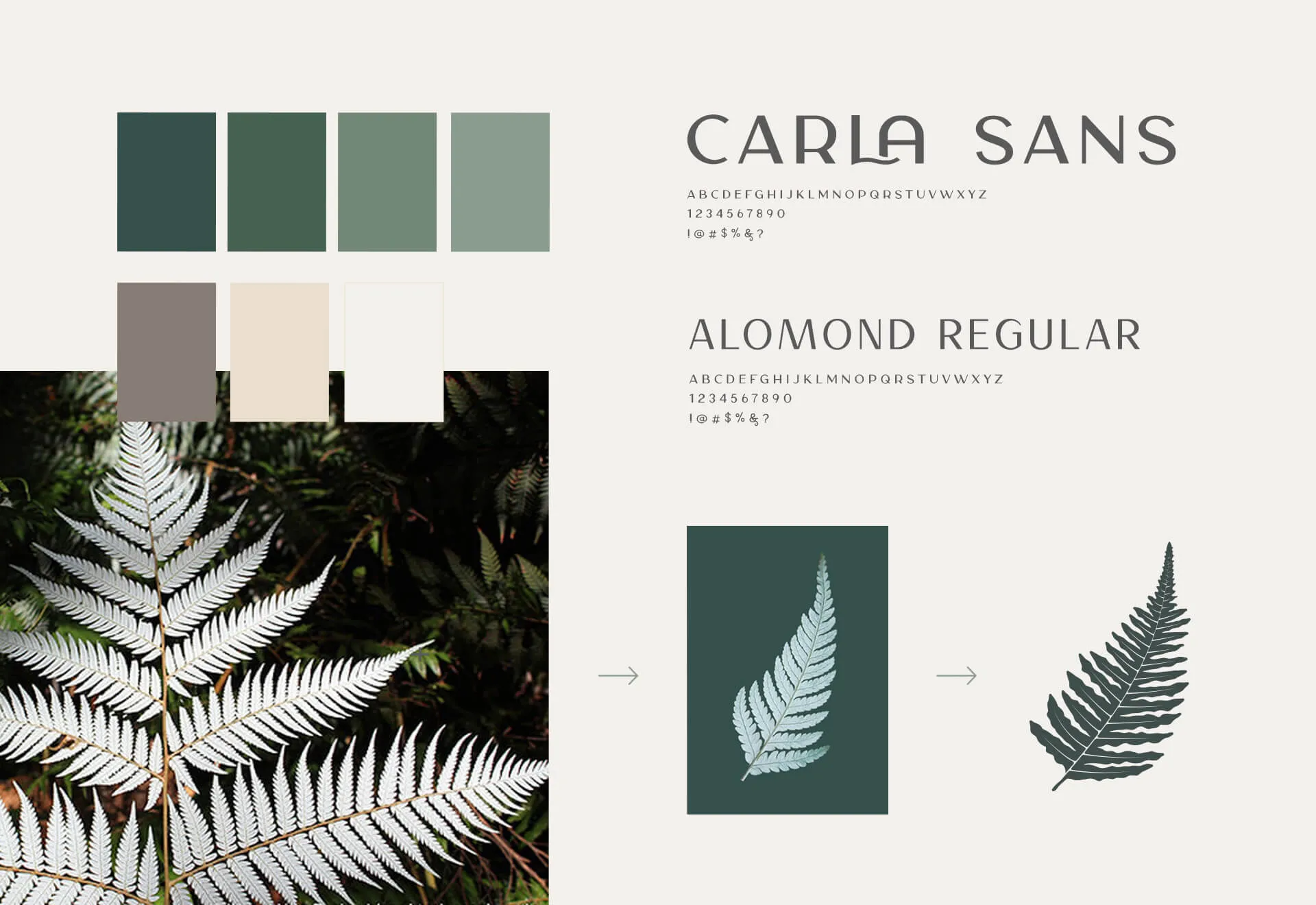 branding style guide boutique restaurant